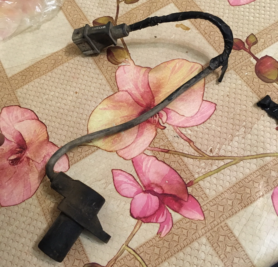 Фото в бортжурнале KIA Sportage (1G)