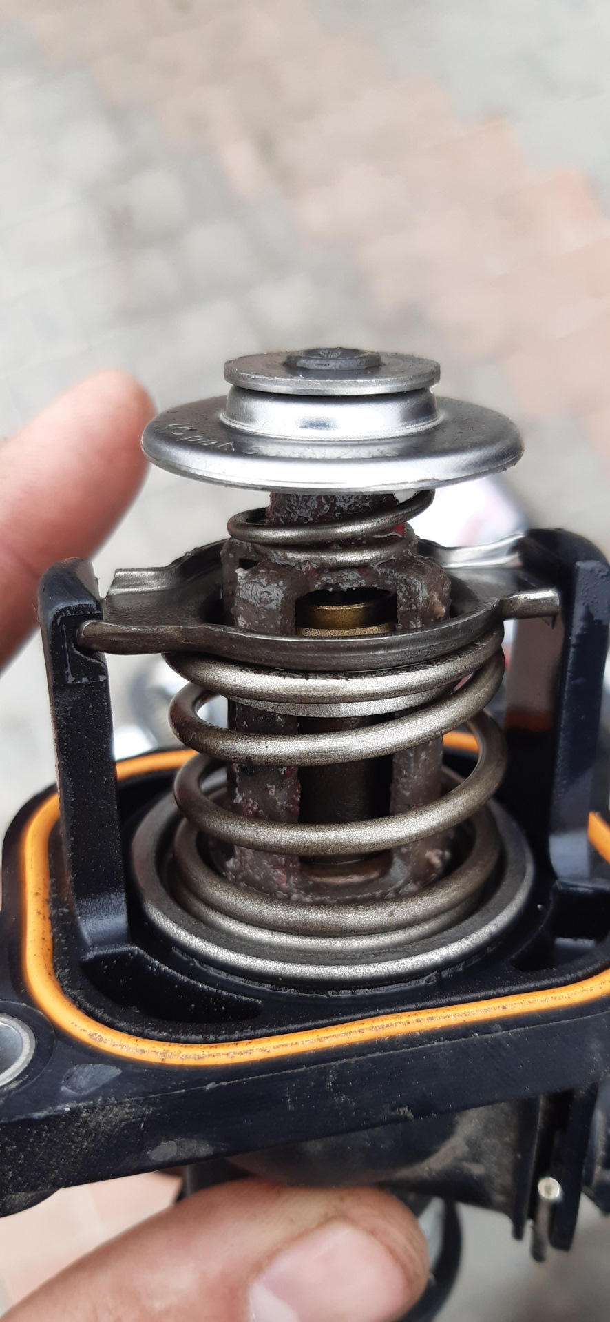 Вот и первая поломка. Термостат — Skoda Octavia Combi Mk1, 1,6 л., 2004 ...