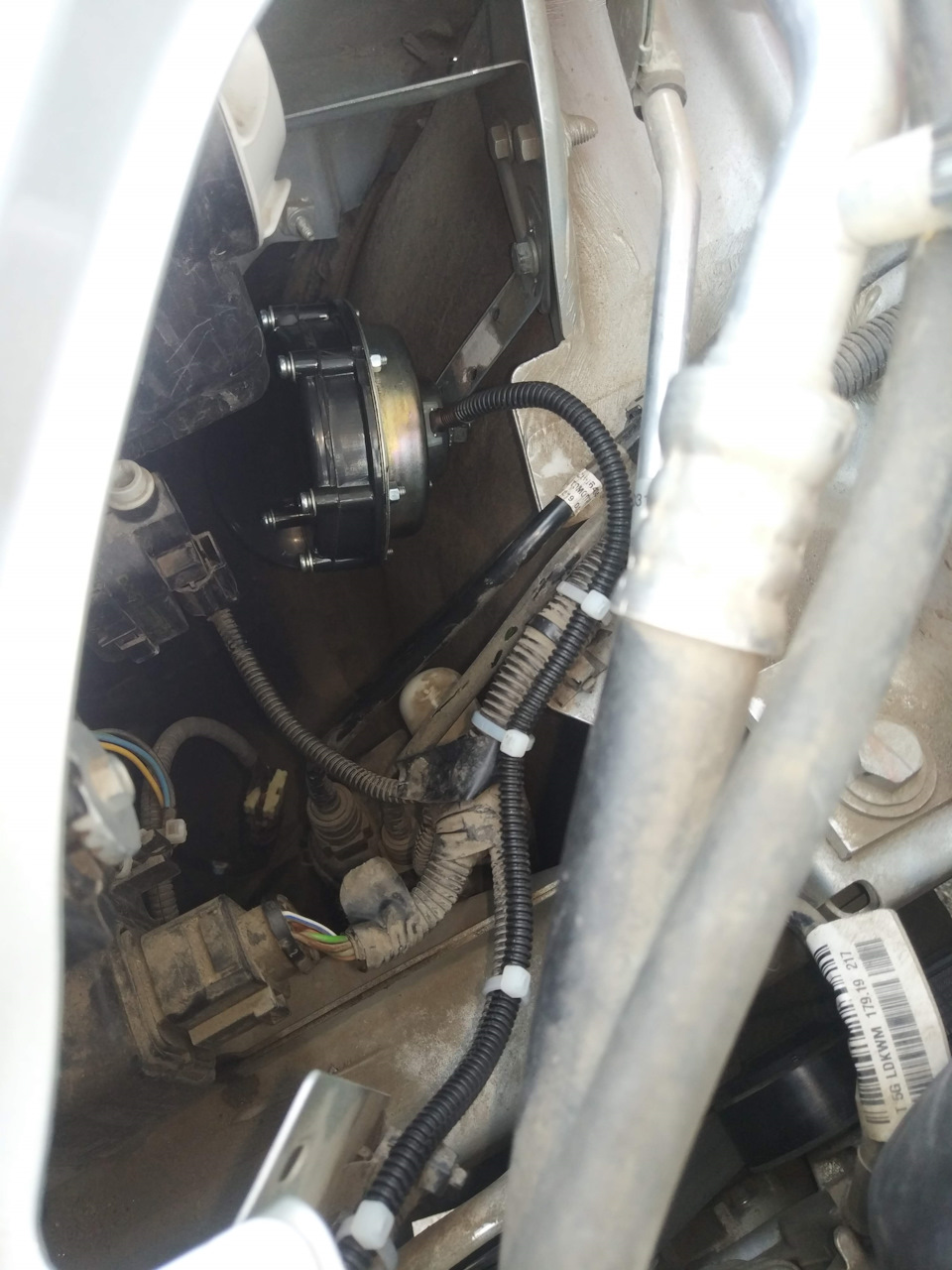 Правый подключенный сигнал. Слева так же, фото не сделал. — Lada Vesta SW Cross (1G)