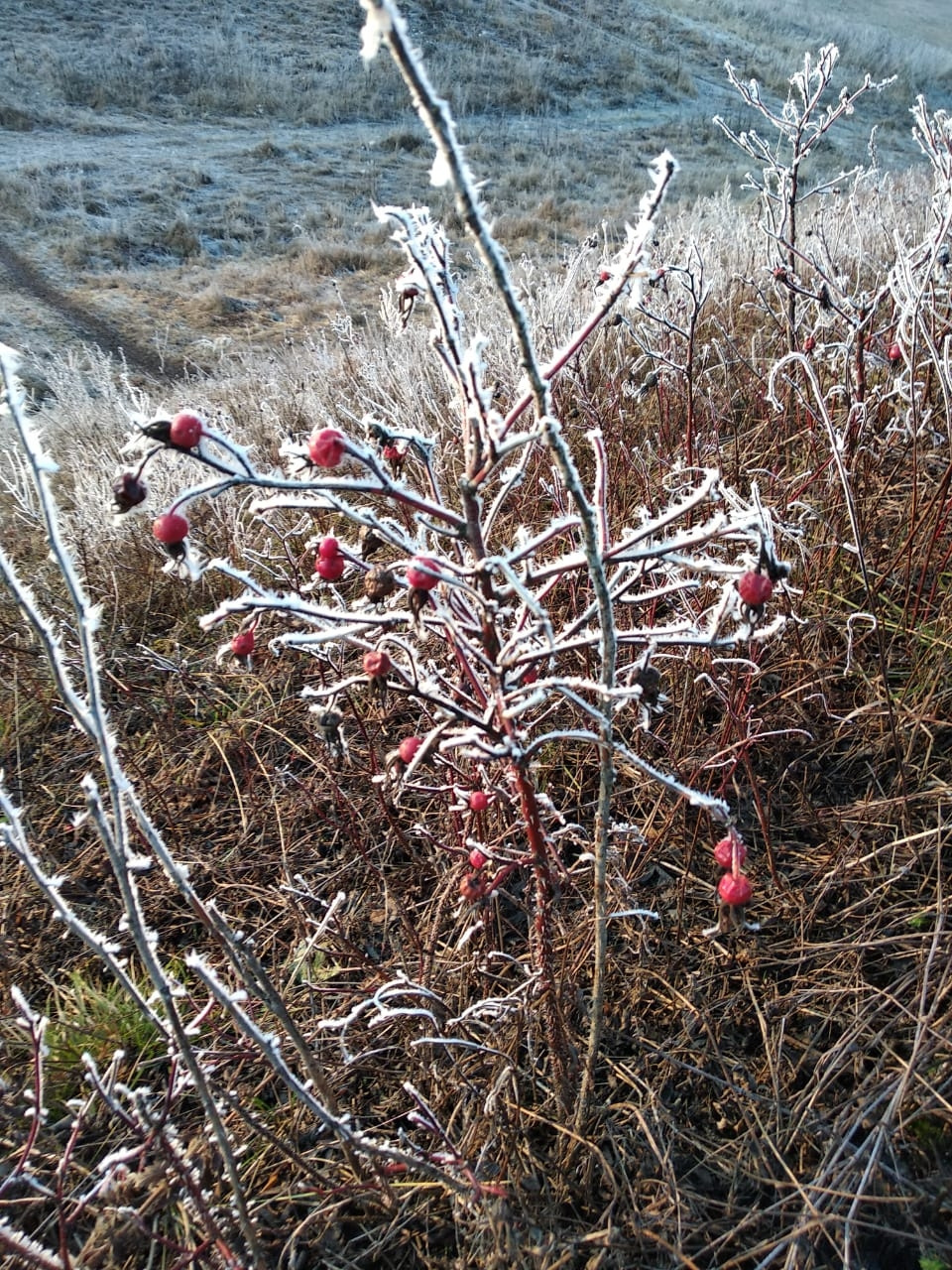 Фото в бортжурнале Mitsubishi Pajero Sport (2G)
