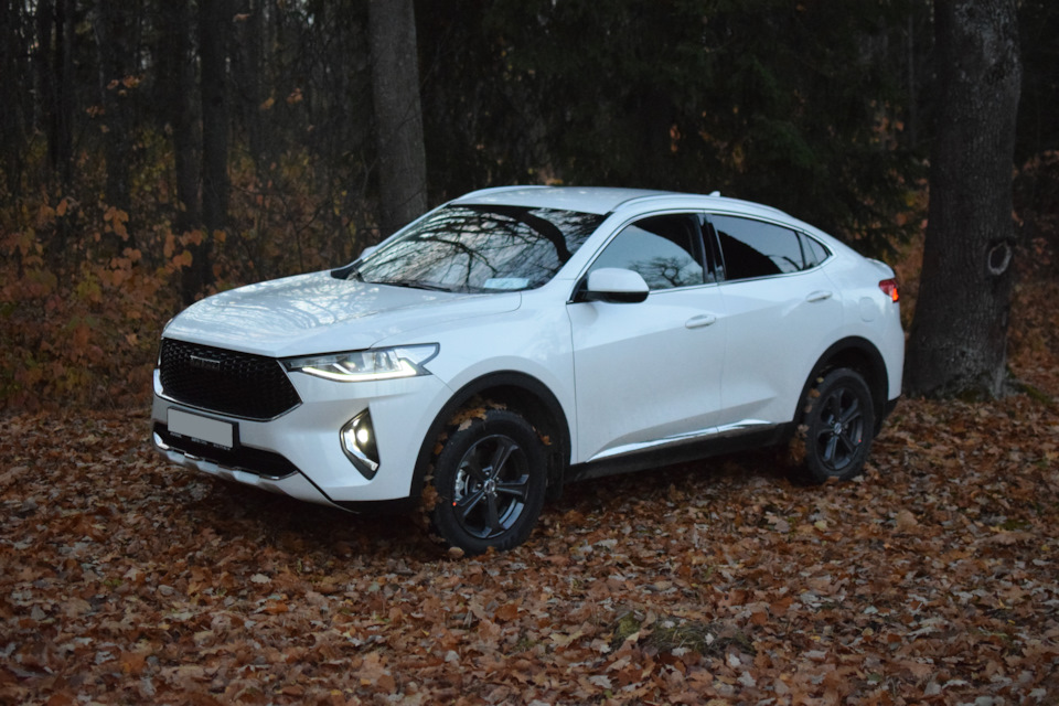 Фото в бортжурнале Ford Kuga (2G)