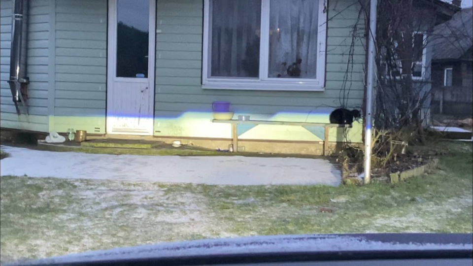 Фото в бортжурнале Volkswagen Passat Variant (B6)