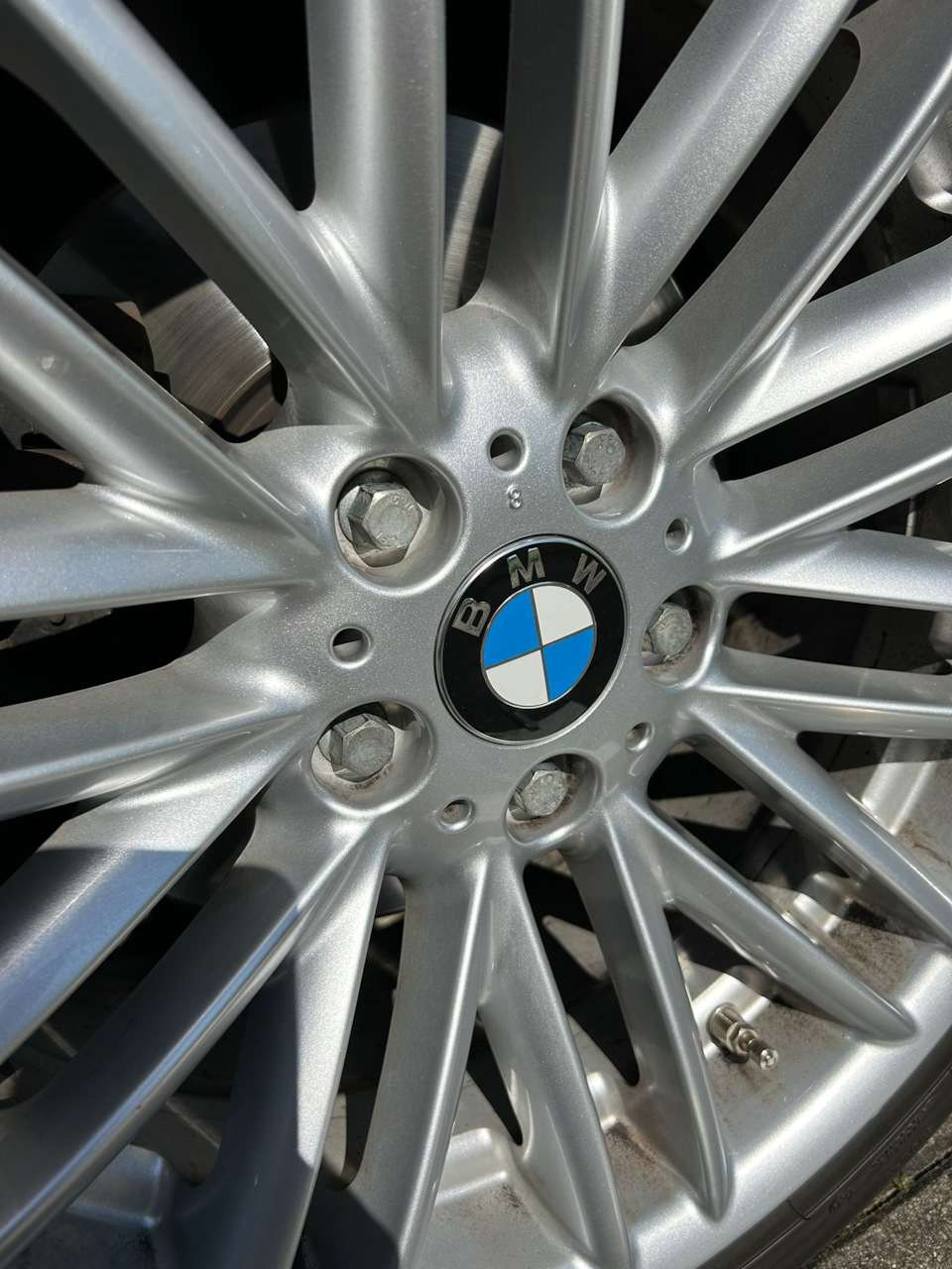 Новые колпачки для дисков — BMW 5 series Touring (E39), 3 л, 2003 года ...