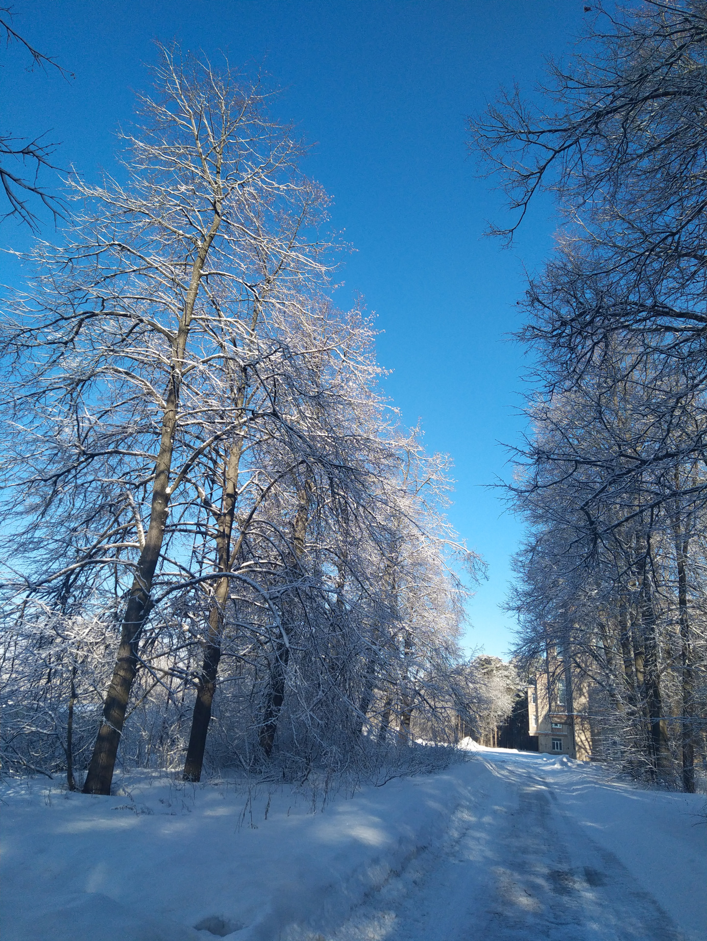 Последняя зима