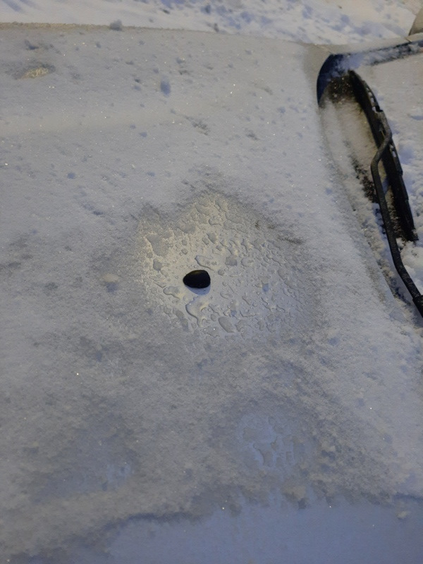 фото 2 — Lada Vesta SW (1G)