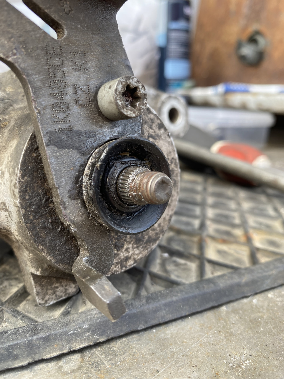 Фото в бортжурнале Skoda Octavia A5 Mk2