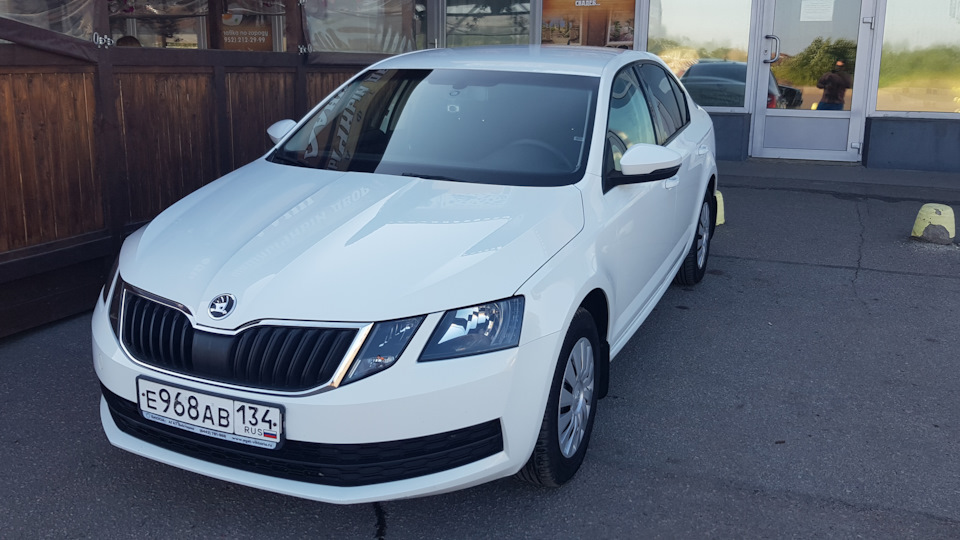 Мошенник — Skoda Octavia A7 Mk3, 1,6 л, 2017 года | другое | DRIVE2