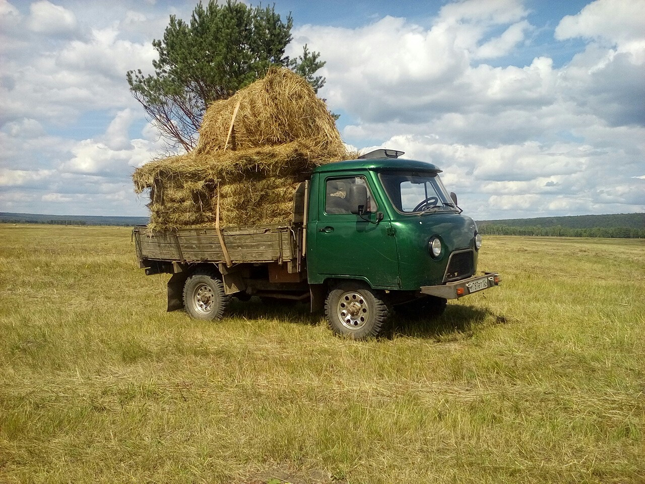УАЗ 3303 С сеном