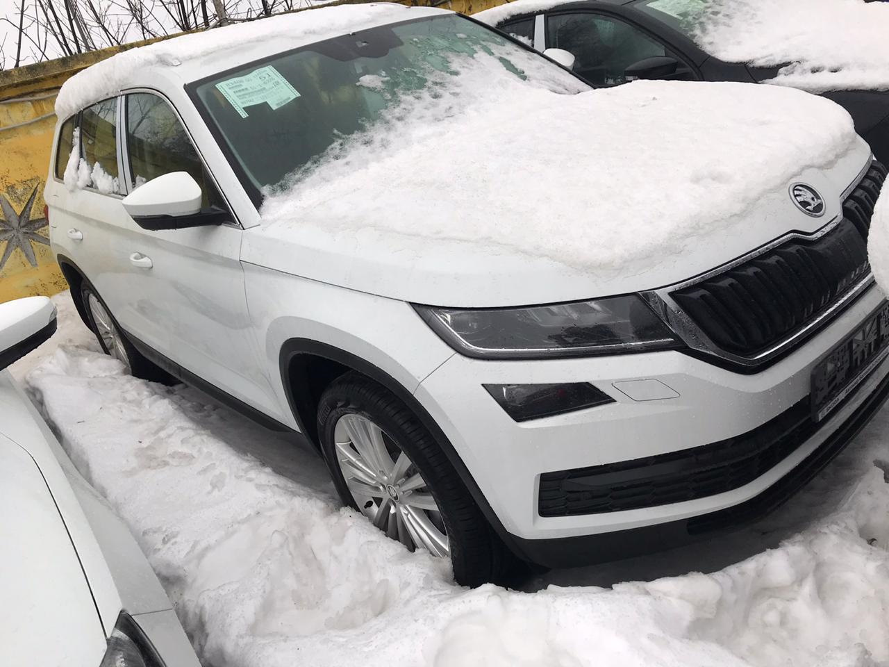 Кто ищет — тот всегда найдёт! — Skoda Kodiaq, 2 л, 2019 года | покупка  машины | DRIVE2