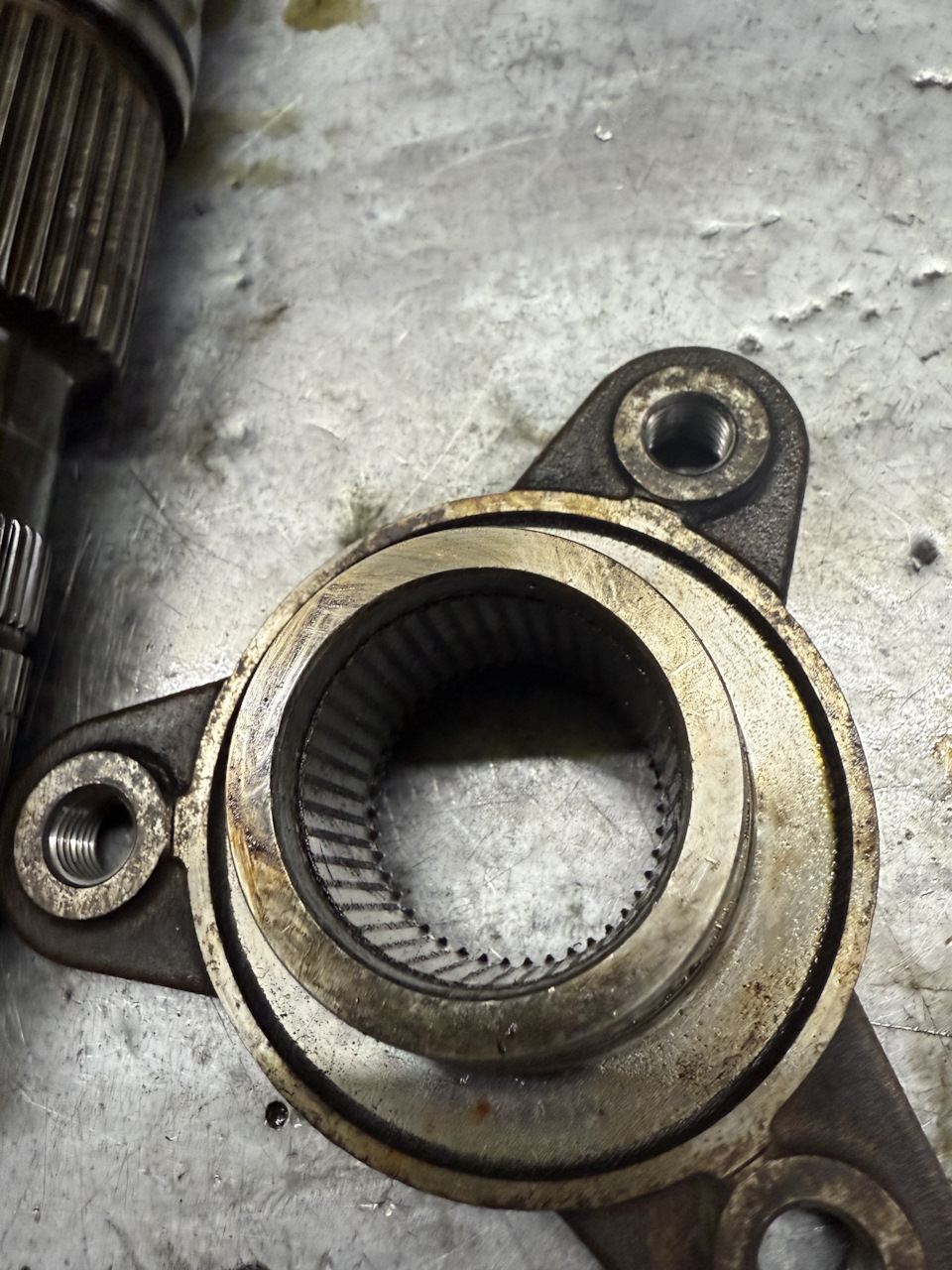 Фото в бортжурнале BMW 4 series (F32)