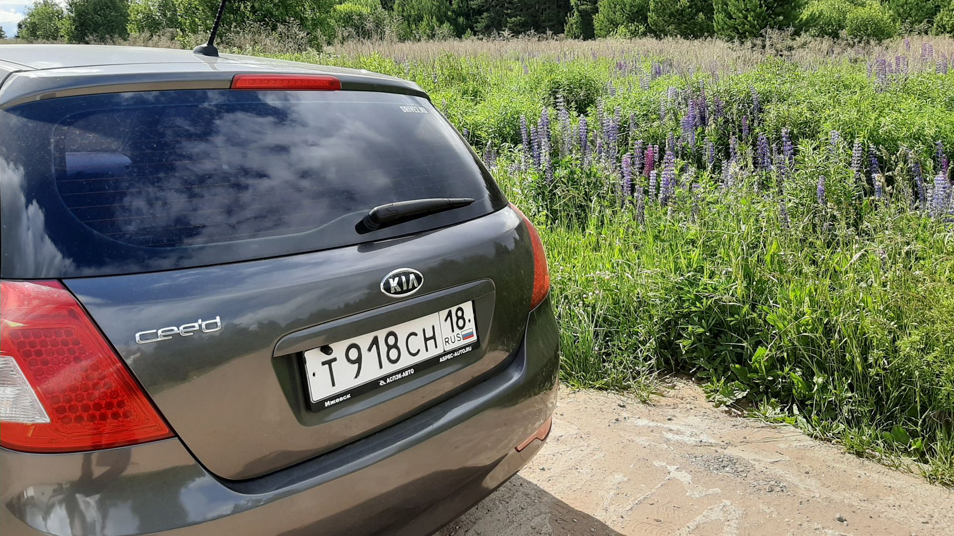 KIA Ceed (1G) 1.4 бензиновый 2010 | Истребитель на DRIVE2