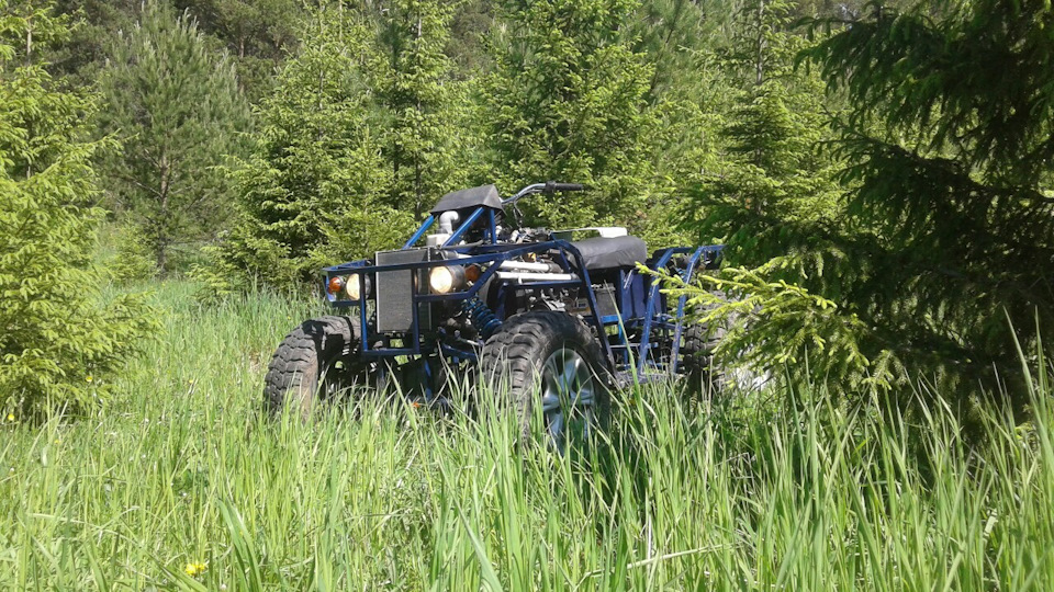 Первый дальний выезд в лес. — ПУТНИК, 0,7 л., 1998 года | просто так ...