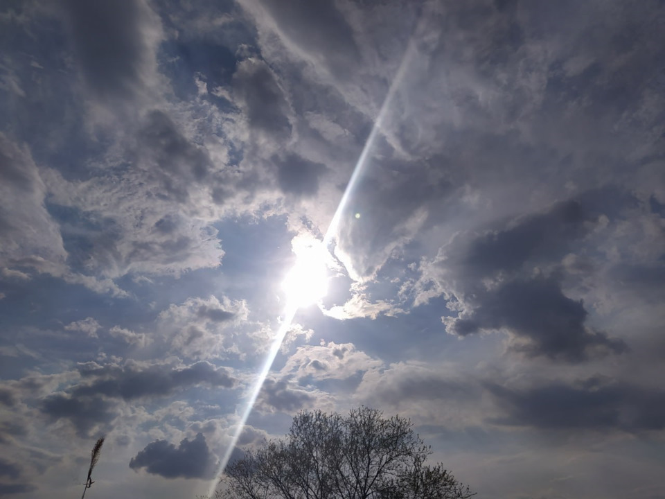 Фото в бортжурнале Subaru Forester (SG)