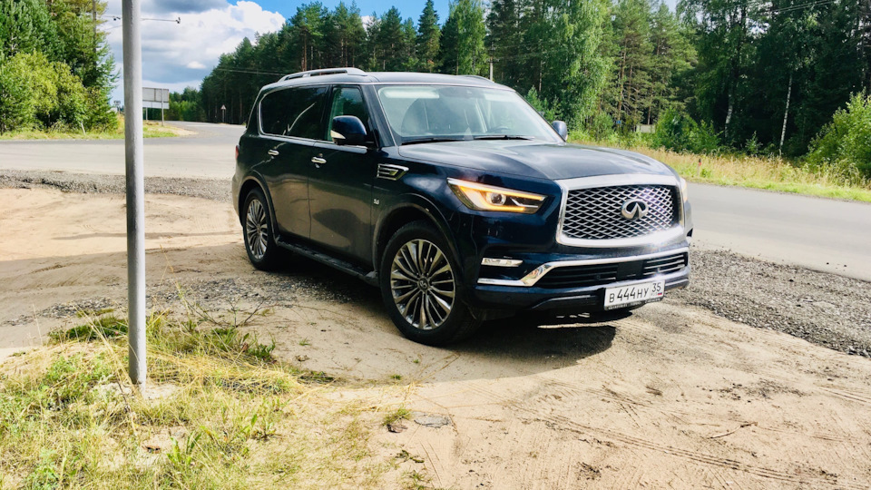 Ниссан патрол и инфинити qx80 отличия