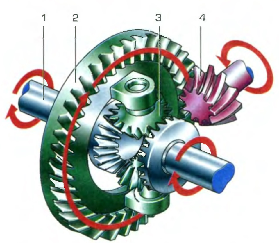 Схема дифференциала заднего моста