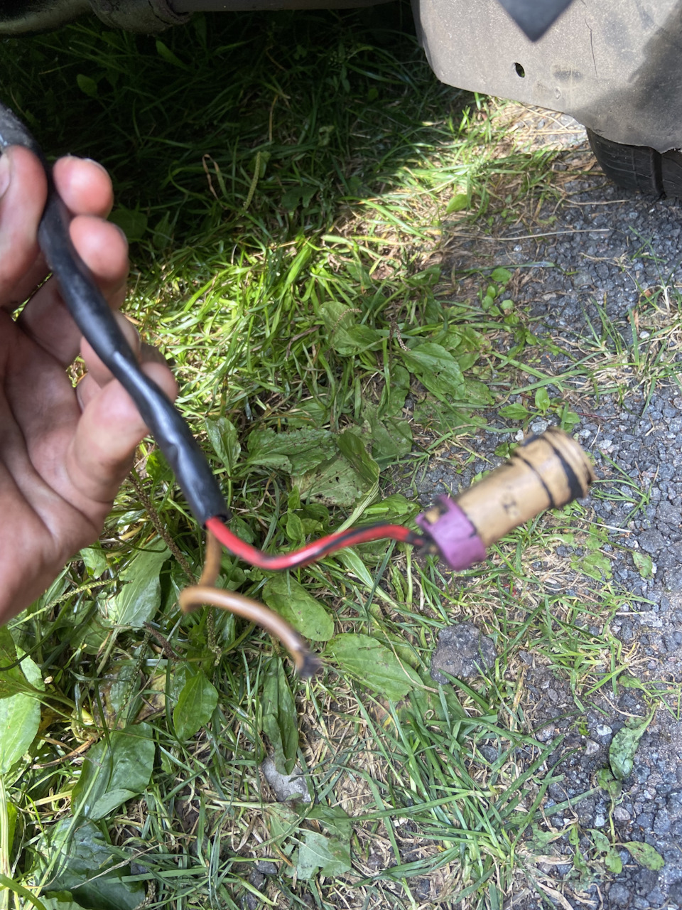 Вот он, жёлтый из троицы, уже восстановлен — Audi A6 Avant (C5)