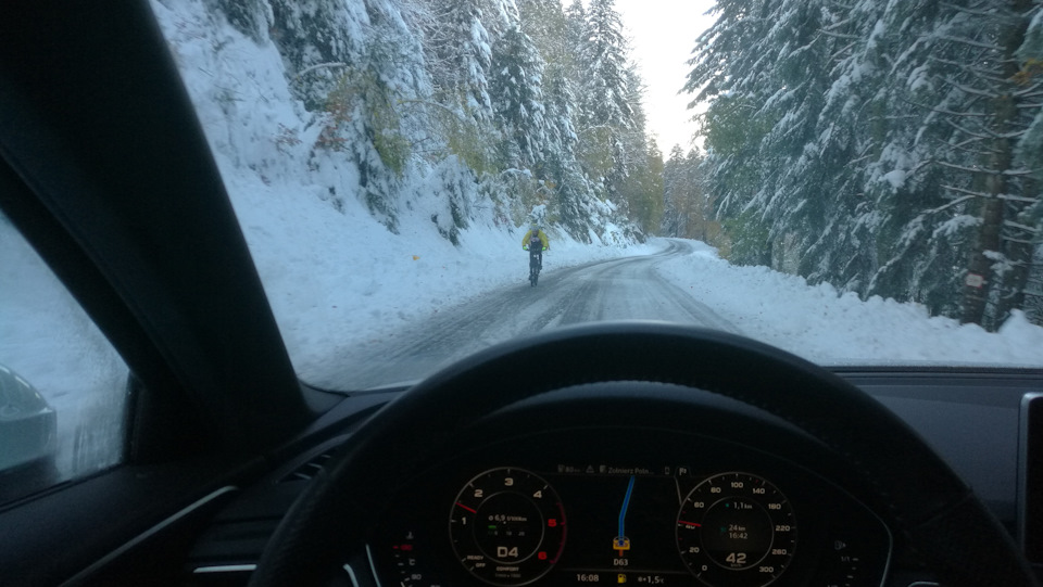 Были и сумасшедшие велосипедисты. — Audi A4 (B9)