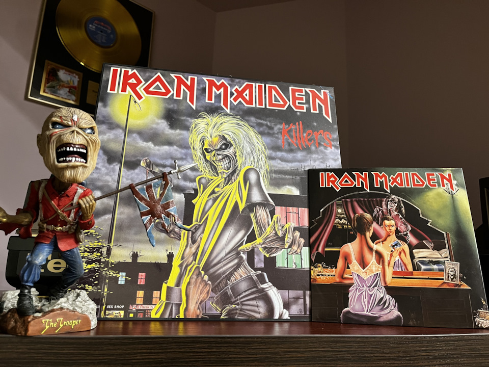    Iron Maiden - Fear of the Dark 2 LP    2300     530