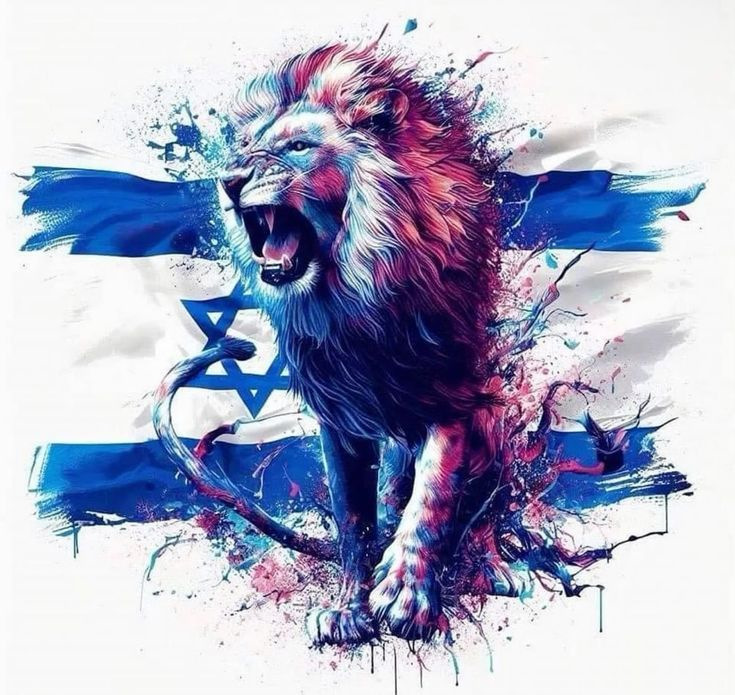 Фото в бортжурнале Audi Q3 Sportback