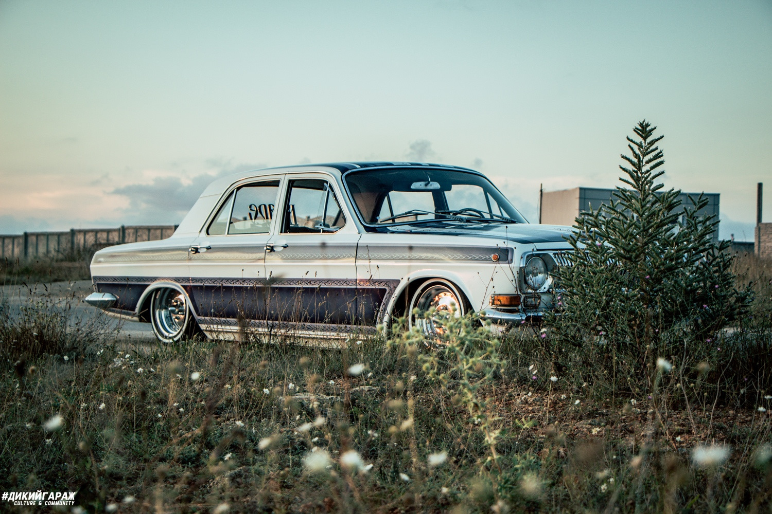 Волга интер. Волга лоурайдер бояре. Волга 2410 Lowrider. Волга 24 лоурайдер. ГАЗ 2410 лоурайдер.