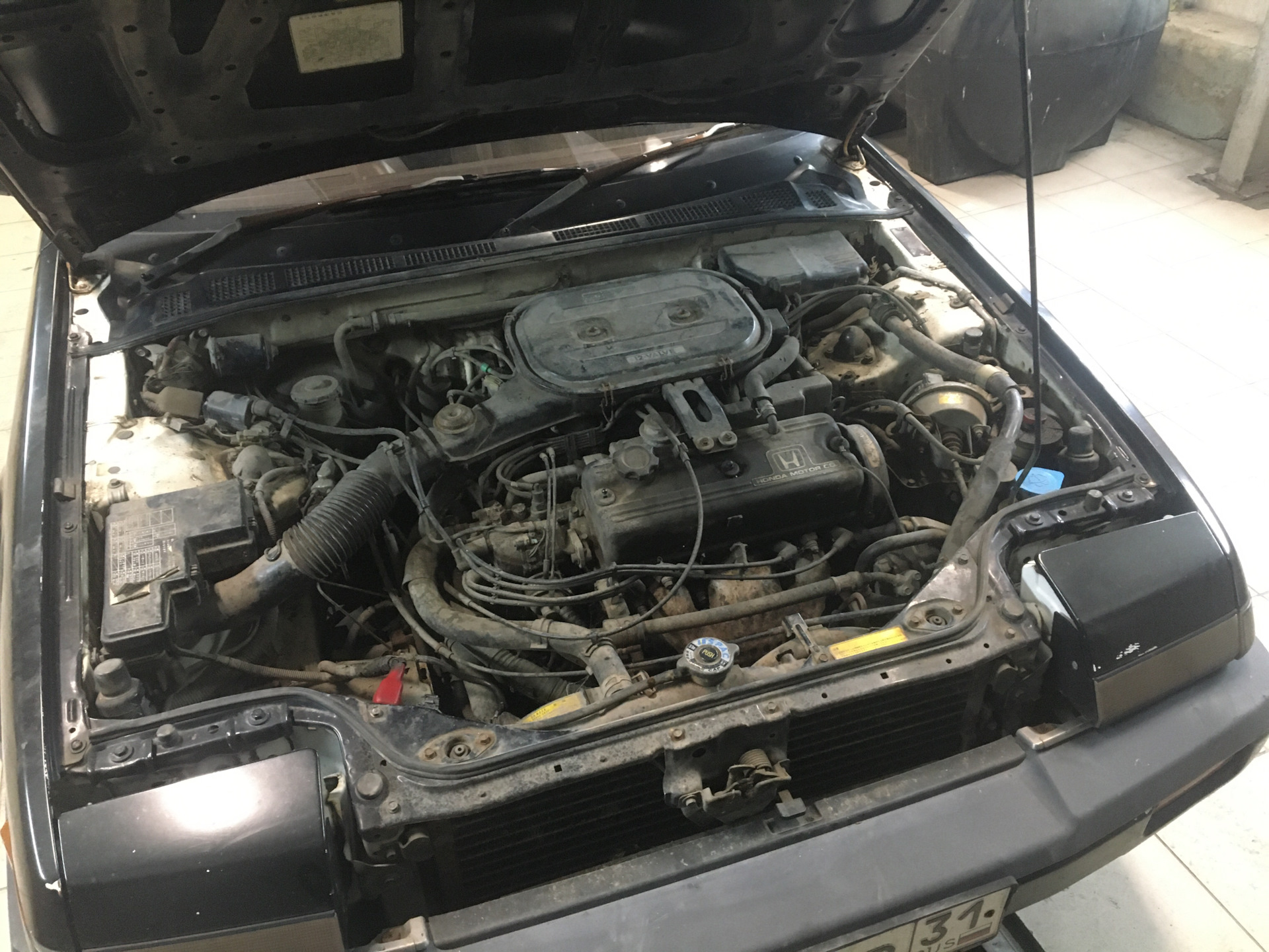 Перегорела лампочка в фаре — Honda Accord (3G), 1,8 л, 1987 года ...