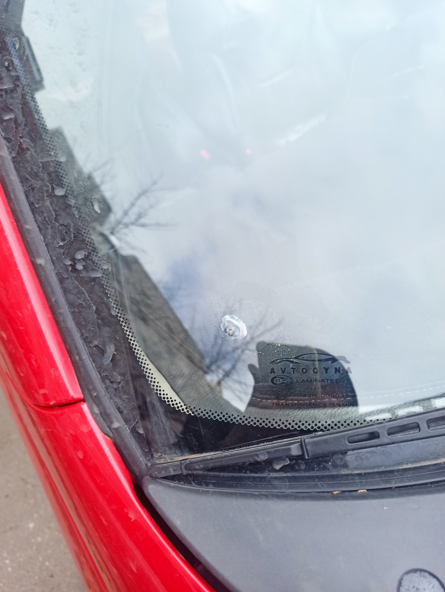 Ремонт скола лобового стекла! — Daewoo Matiz (M100/M150), 0,8 л, 2012 ...
