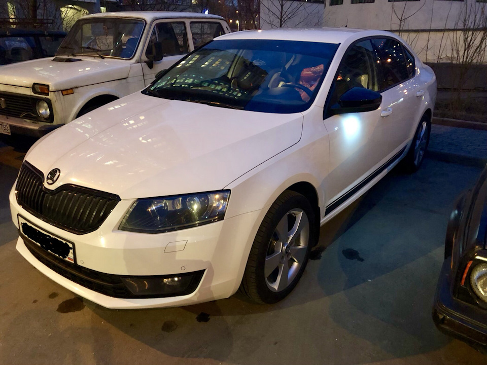 Фото в бортжурнале Skoda Octavia A7 Mk3