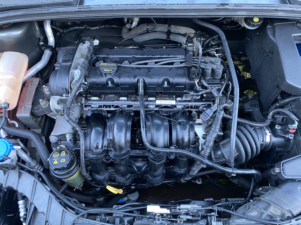 Фото в бортжурнале Ford Focus Wagon III