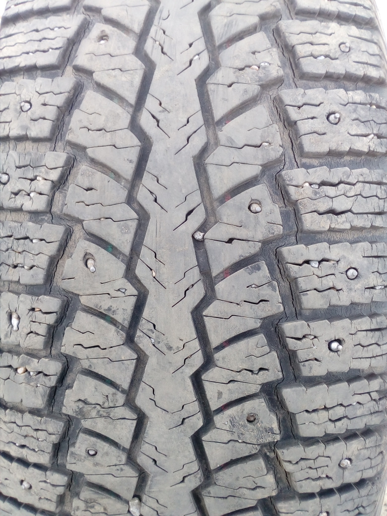 Шина maxxis np5