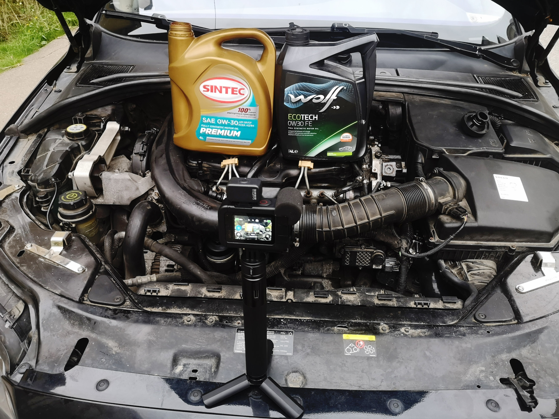 №122. Motul→Wolf→Sintec. Даунгрейд по моторным маслам или путь к ...