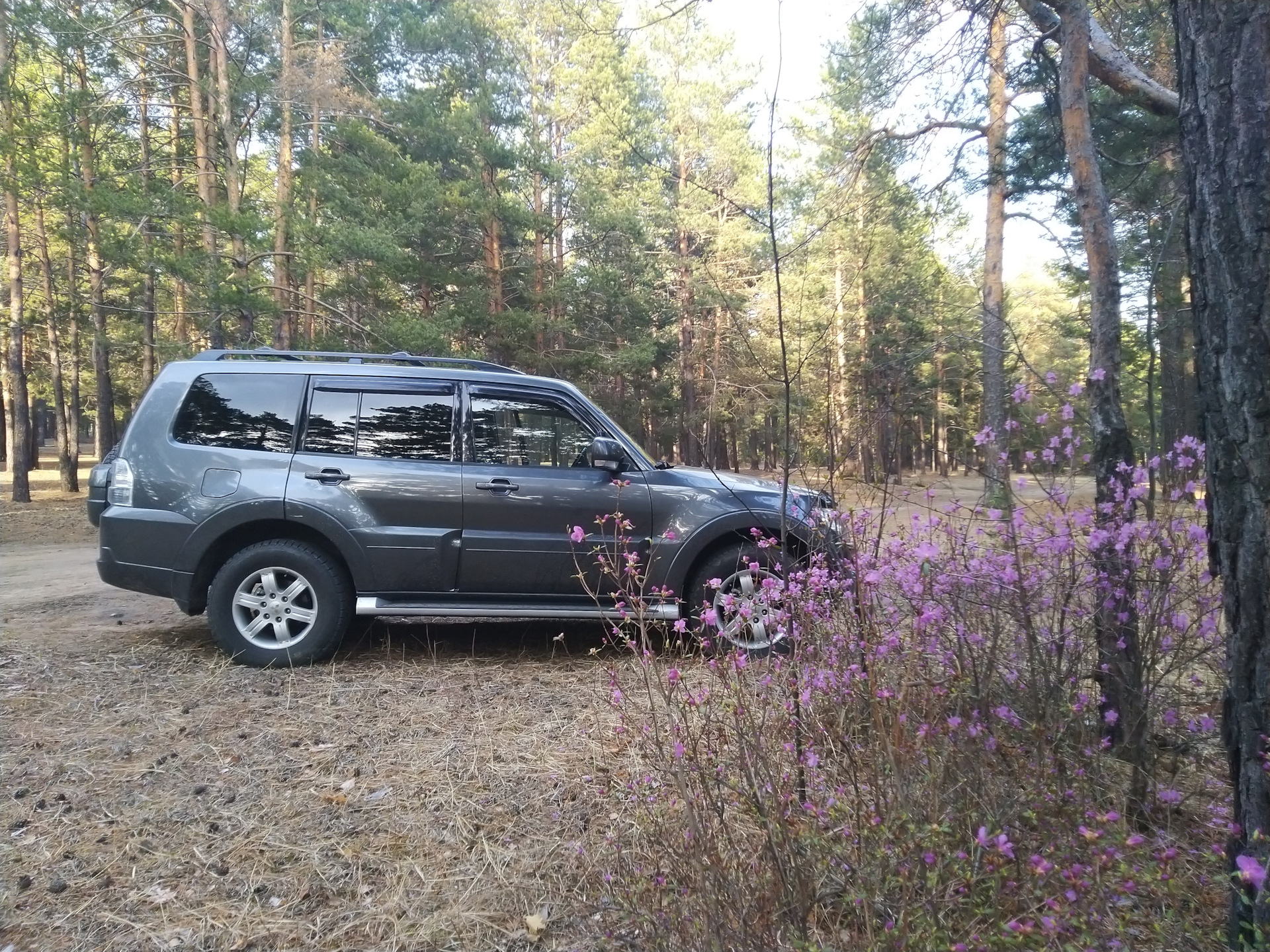 Рассказ про расход и красоту. — Mitsubishi Pajero (4G), 3 л, 2012 года |  наблюдение | DRIVE2