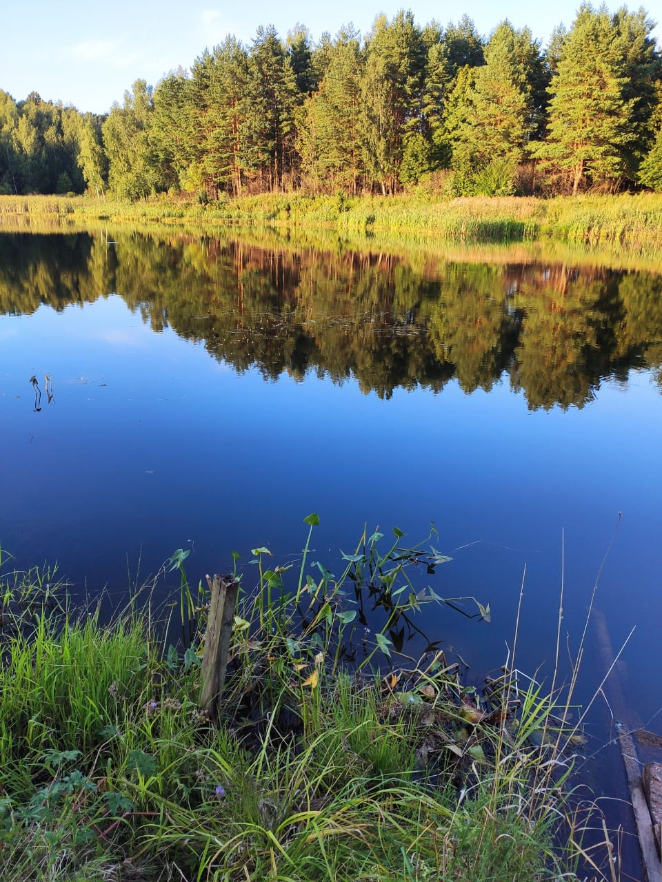 Рыбалка каширский