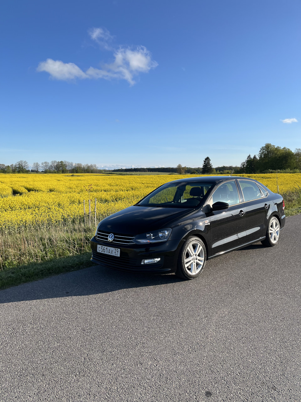 Фото в бортжурнале Volkswagen Polo Sedan