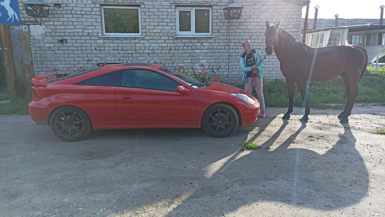 Toyota Celica (230) 1.8 бензиновый 2002 | Алая козявка на DRIVE2