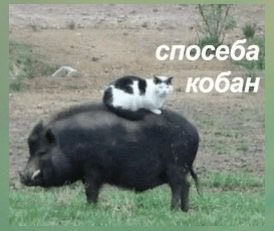 V3FNhE8wBnqF-k6T2_AIH4ze0Oo-1920.jpg