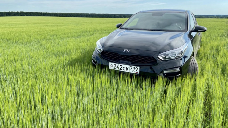 Катализатор — KIA Cerato (4G), 2 л, 2019 года | наблюдение | DRIVE2