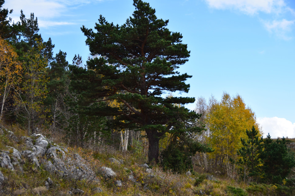 Фото в бортжурнале Renault Duster (1G)