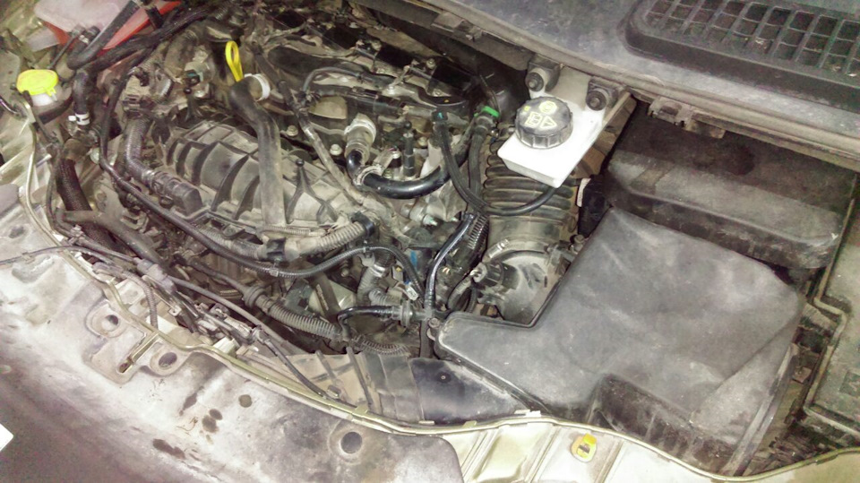 Фото в бортжурнале Ford Kuga (2G)