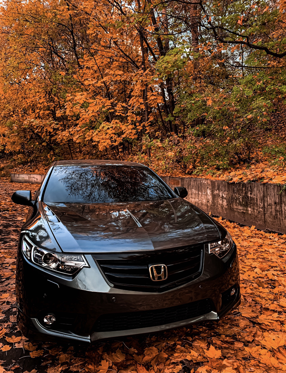 Honda accord 8 обои