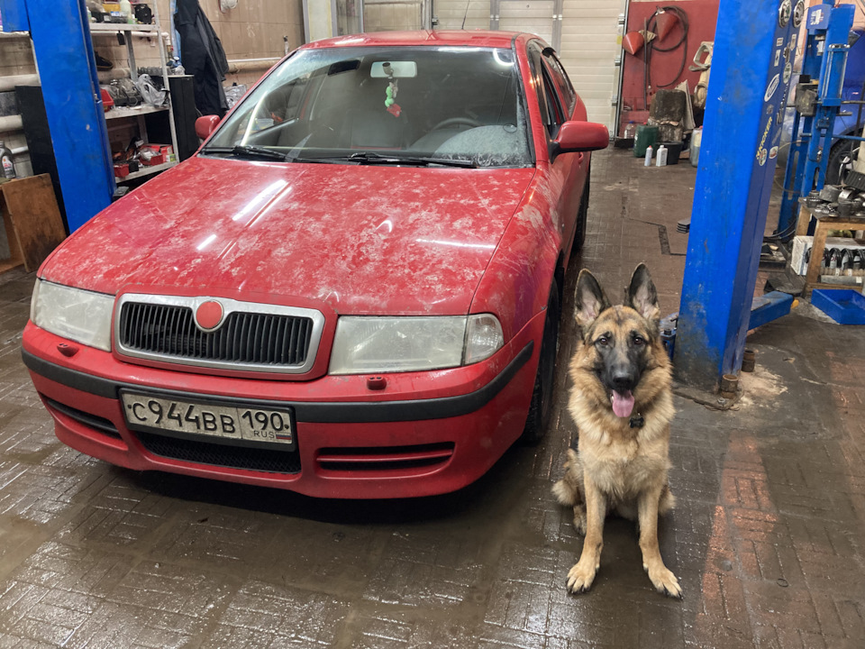 ТО 384000 или «Главный прораб Харли» 🤣 — Skoda Octavia A4 Mk1, 1,8 л ...