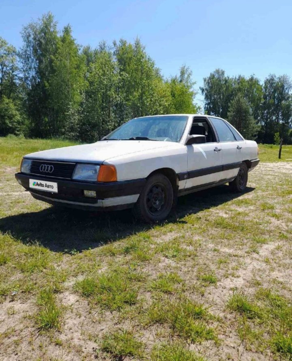 Покупка. Часть 2: Страх и ужас в маленьком бюджете — Audi 100 (C3), 1,8 л,  1984 года | покупка машины | DRIVE2