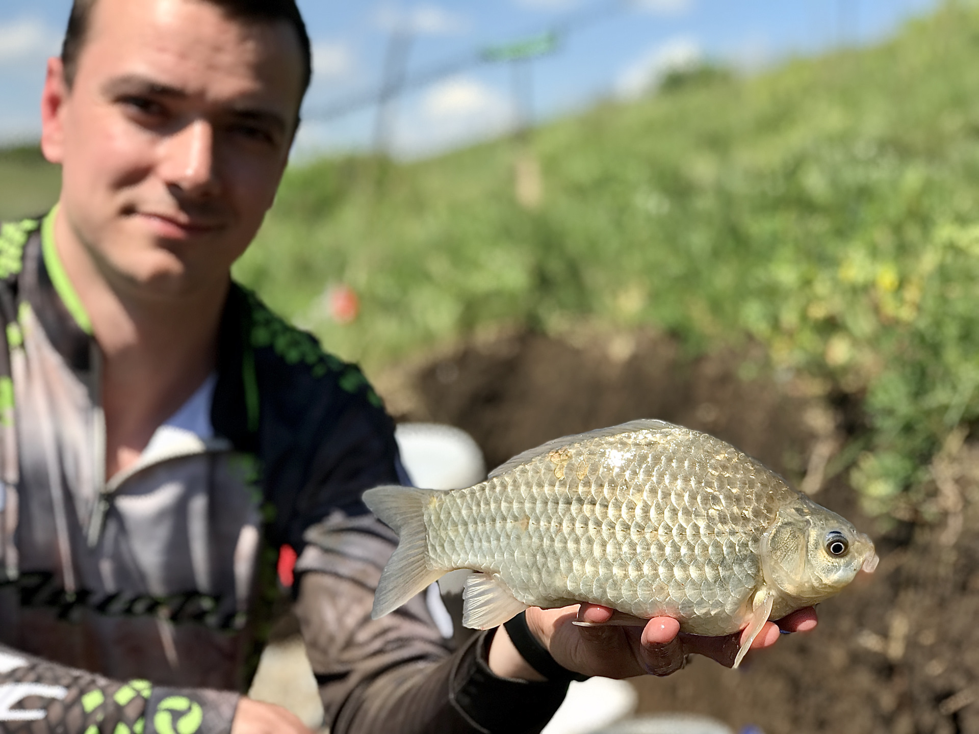 Флэт на карпа. Солнечная бухта ДНР рыбалка. Умный Карп за столом. Flat на Карпова. Карпа 10