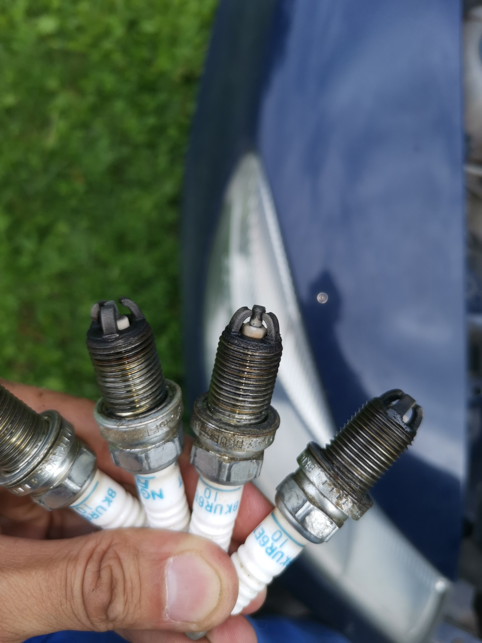 Масло во впускном коллекторе 1.6 BSE — Skoda Octavia A5 Mk2, 1,6 л ...