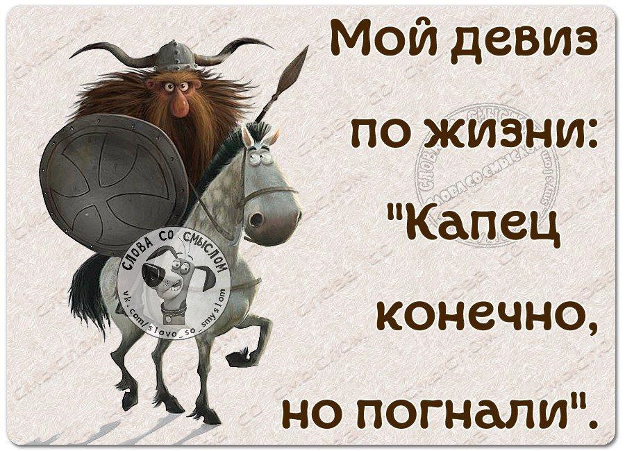 Жизненный слоган картинки