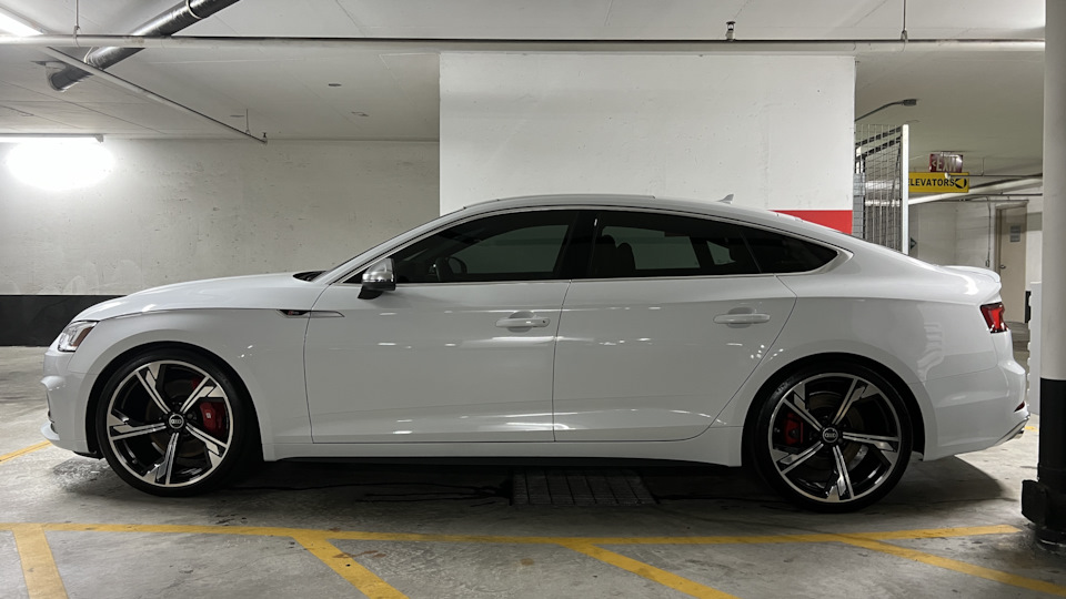 Audi S5 Sportback белый баррррs5 🐻❄️❄️