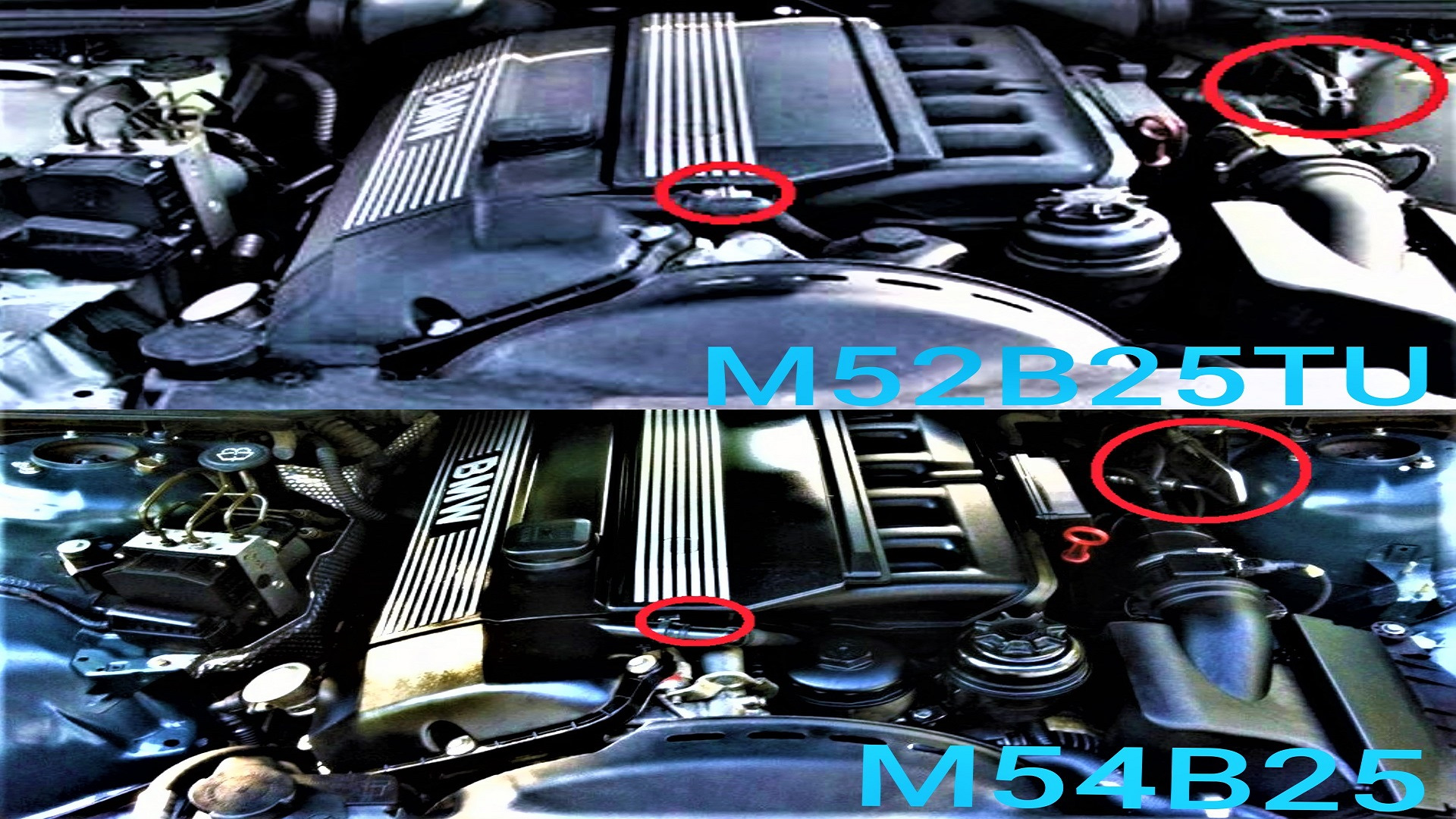 Как отличить м. BMW m54 b28 sensor. BMW m54b30. Двигатель BMW m54. М54 мотор БМВ е53.