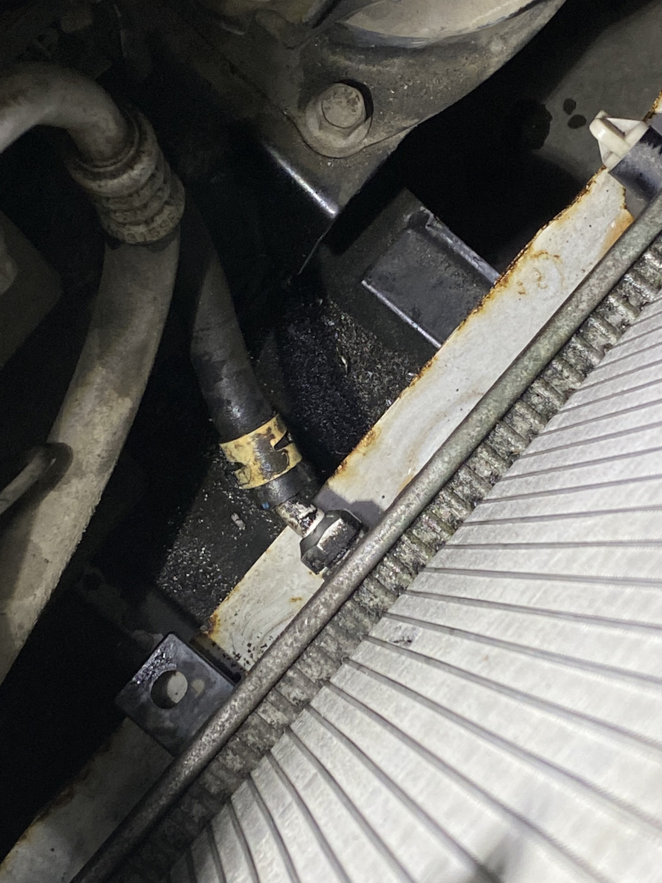Фото в бортжурнале Honda Accord (7G)