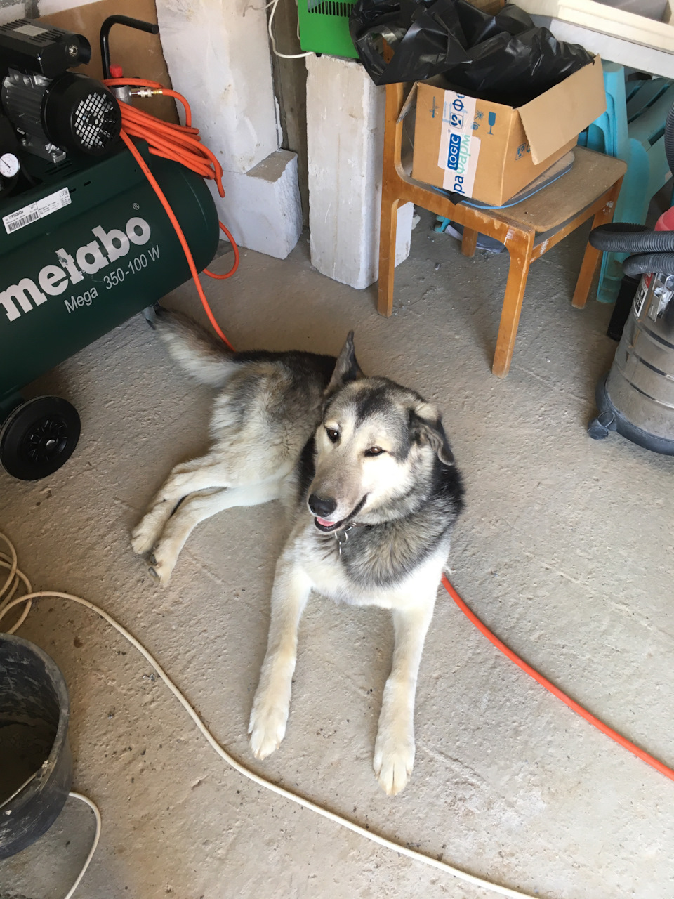 Фото в бортжурнале Nissan Patrol GR II (Y61)