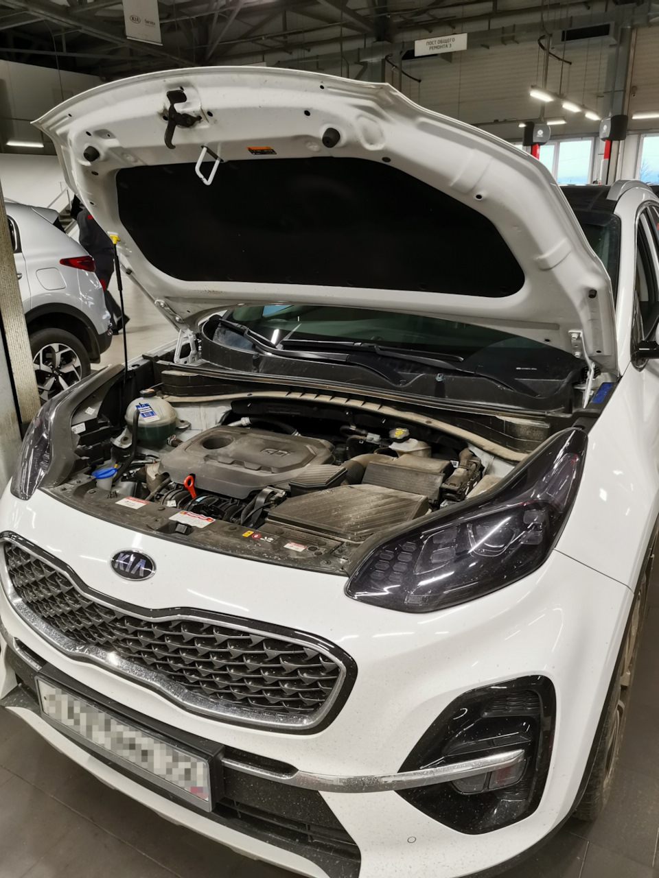 Замена масла (межсервисная) + мойка после отпуска. — KIA Sportage (4G), 2,4  л, 2019 года | плановое ТО | DRIVE2