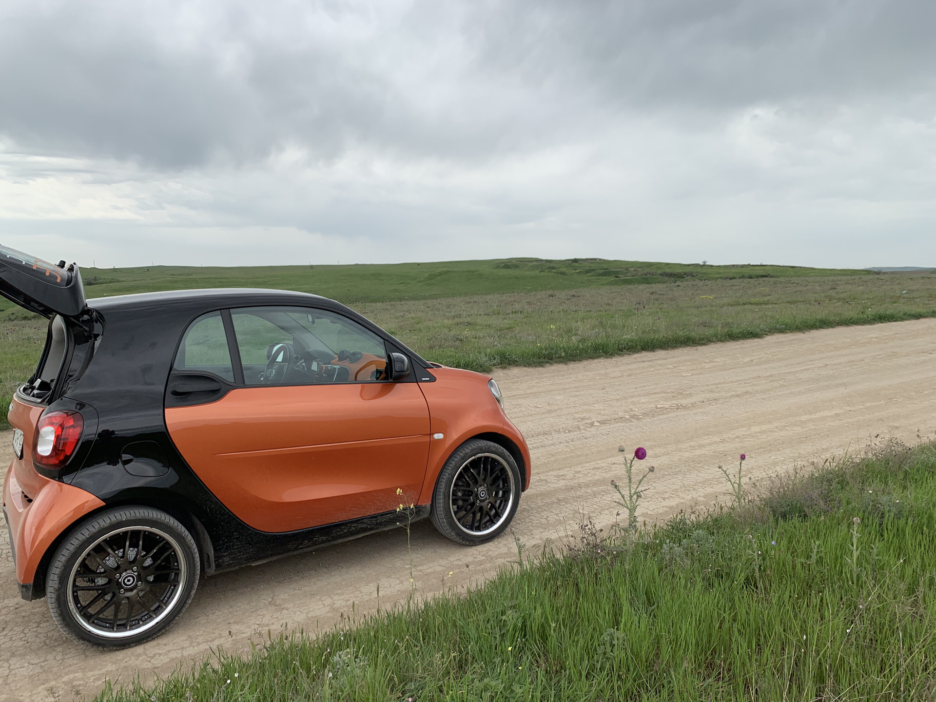 Smart Fortwo Rally